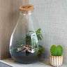Terrarium Drop XL met gegraveerde kurk 'Love Mom'