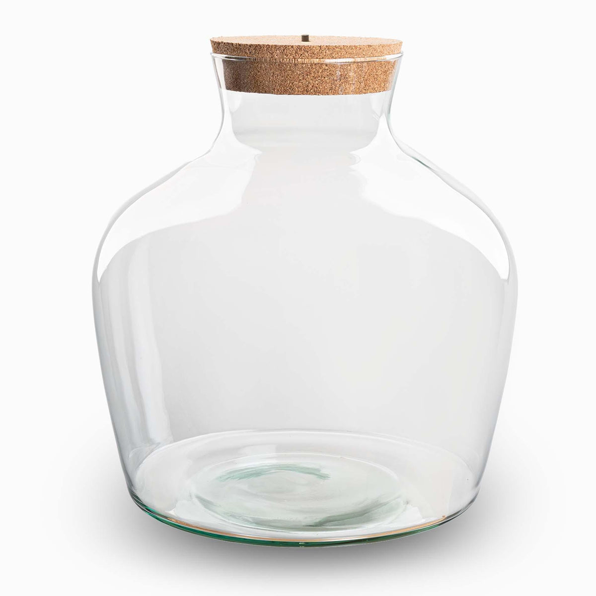 Terrarium fles met verlichting - Fat Joe, detail van het blad