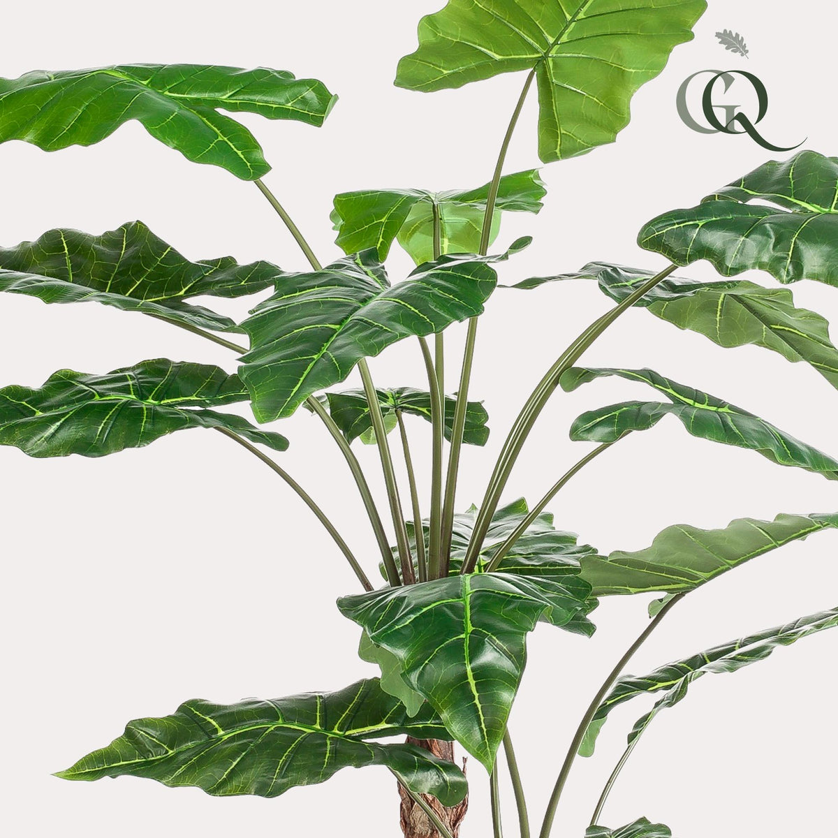 Kunstplant Alocasia, olifantsoor met pijlvormig blad, 180 cm, groene bladeren