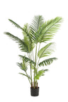 Kunstplant - Howea Forsteriana