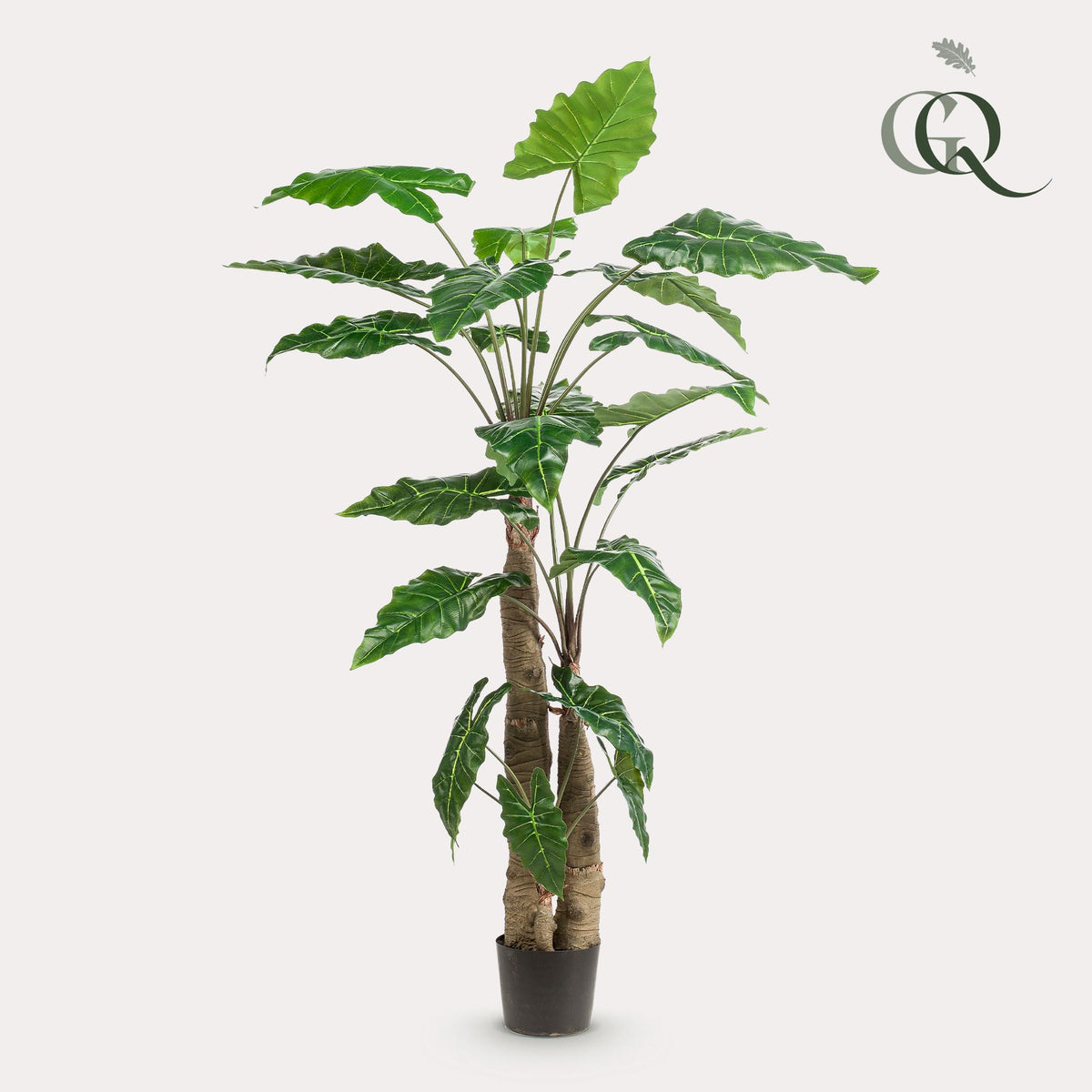 Kunstplant Alocasia, olifantsoor met pijlvormig blad, 180 cm, kenmerkend blad