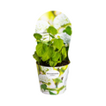 Productafbeelding van Pureplant