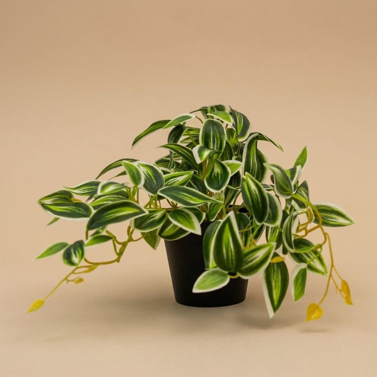 Kunstplant Tradescantia groen/wit, groene bladeren