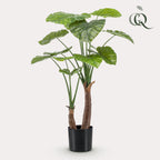 kunstplant - Alocasia - Olifantsoor, plant in pot