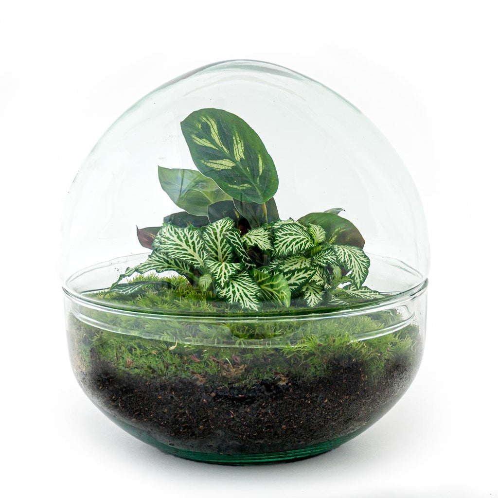 Detailfoto van DIY terrarium bolglas Dome, hark en schep