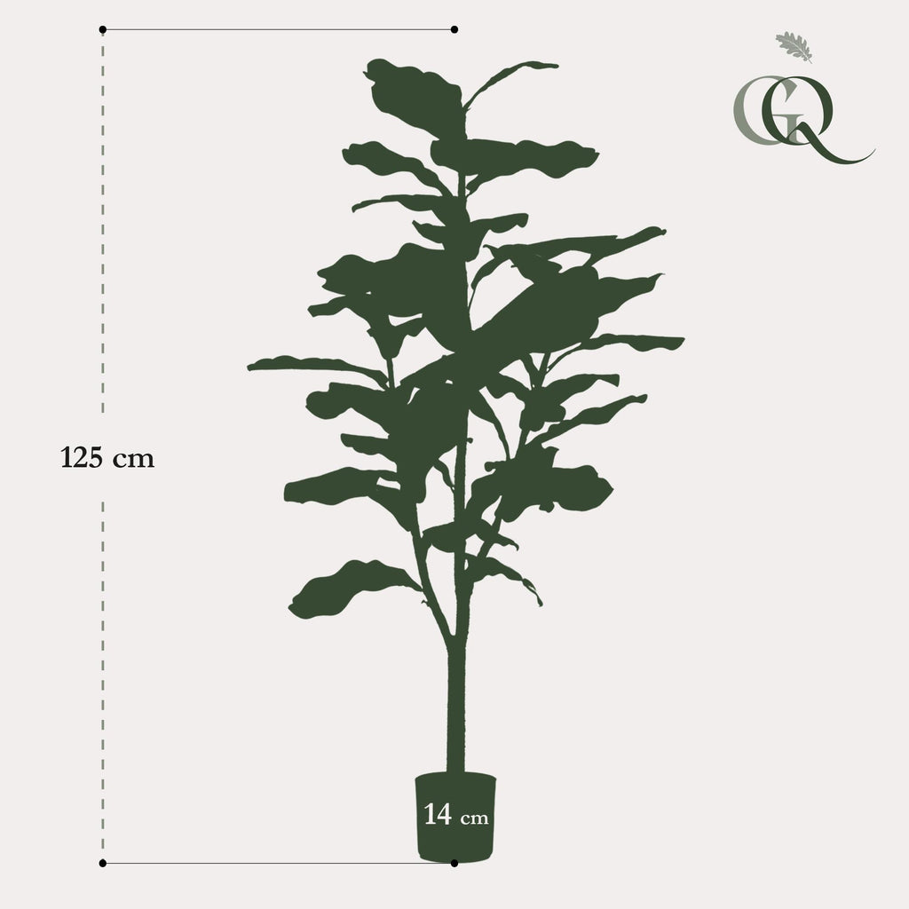 Productafbeelding van Pureplant