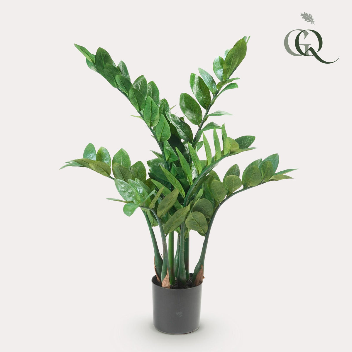 Productafbeelding van Pureplant