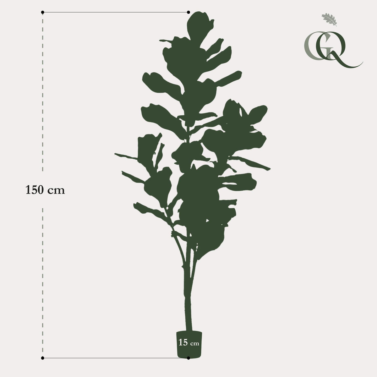 kunstplant - Ficus Lyrata  - Tabaksplant, kenmerkend blad