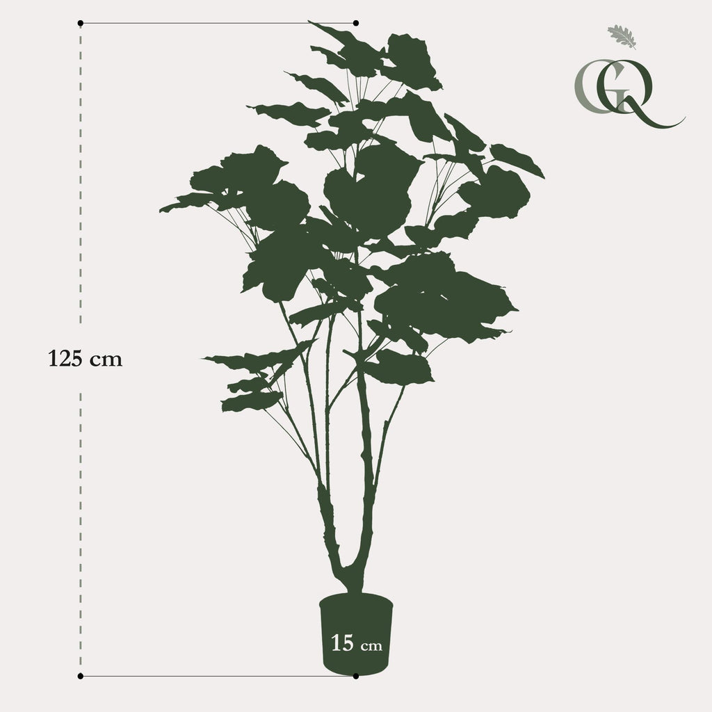 Kunstplant - Ficus umbellate - Afrikaanse vijg, kenmerkend blad