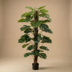 Monstera on pole, detail van het blad