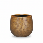 Pot Gabriel rond oker, gezonde plant