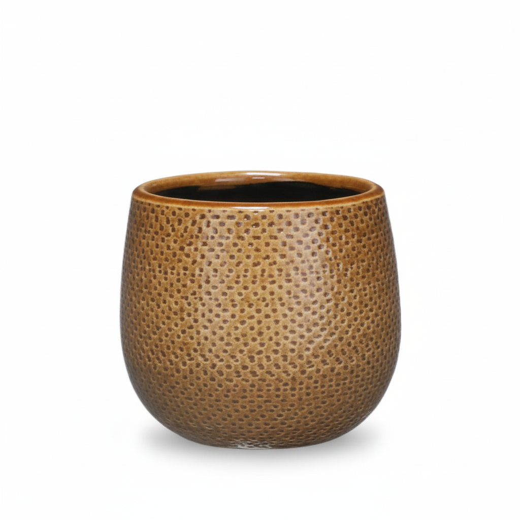 Pot Gabriel rond oker, gezonde plant