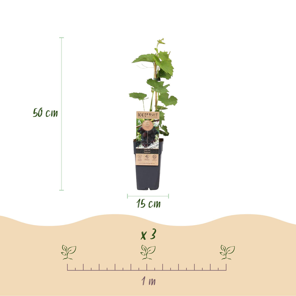 Productafbeelding van Pureplant