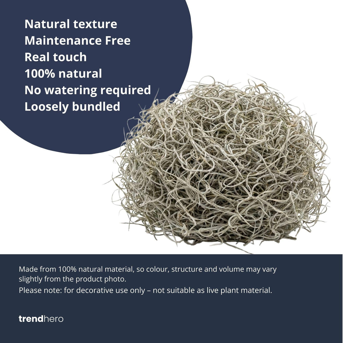 Tillandsia usneoides gedroogd, Spaans mos 1L voor decoratie, detail van het blad