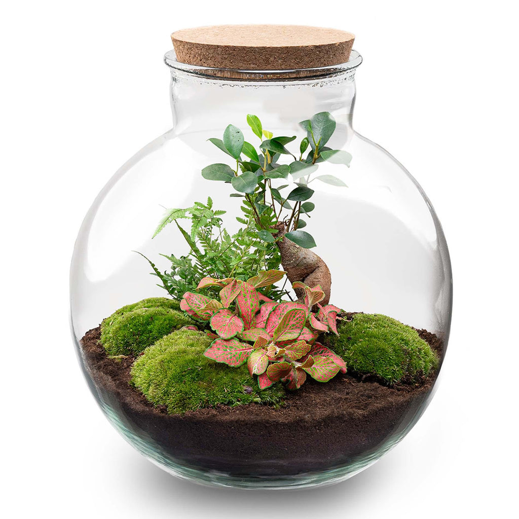 Productafbeelding van Pureplant
