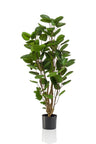 Kunstplant - Polyscias - Aralia