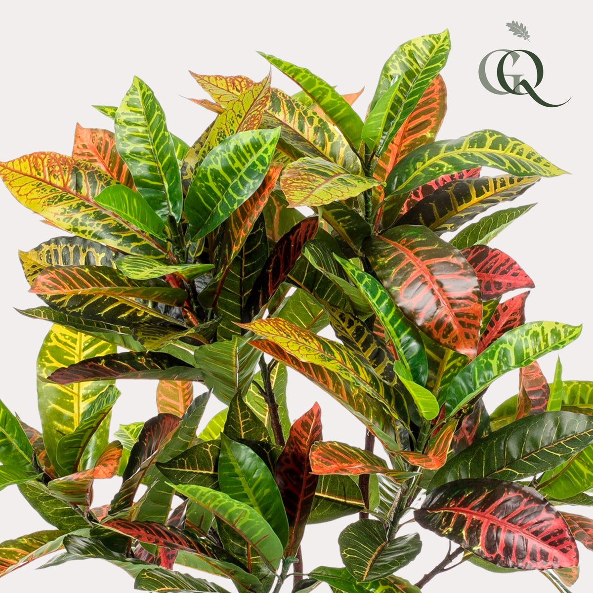 Productafbeelding van Pureplant