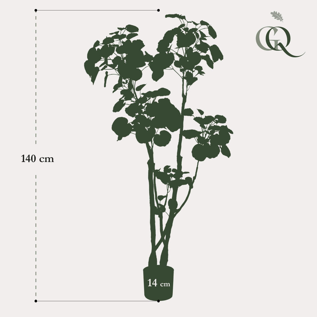 Kunstplant Polyscias aralia, dicht bebladerde takken, 135 cm, groeiwijze van de plant