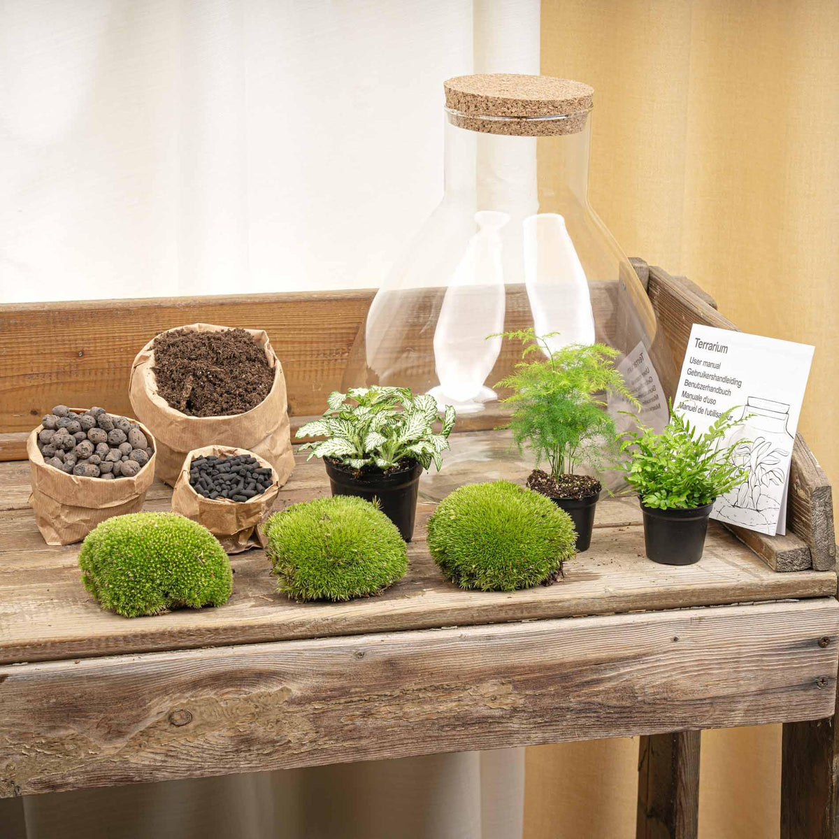 Detailfoto van DIY terrarium Sam XL Green met licht, zonder gereedschap
