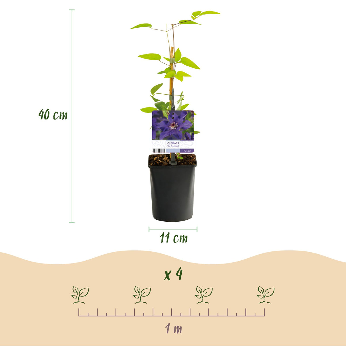 Productafbeelding van Pureplant
