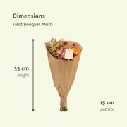 12x Veldboeket Multi - Droogboeket
