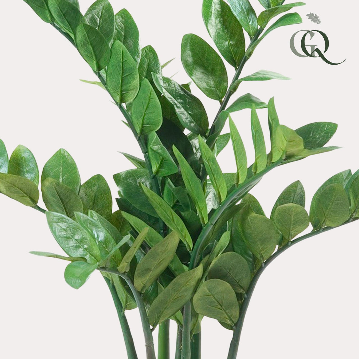 Productafbeelding van Pureplant