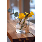 Productfoto van Propagation vase L