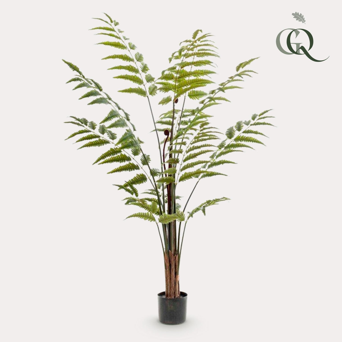 Productafbeelding van Pureplant