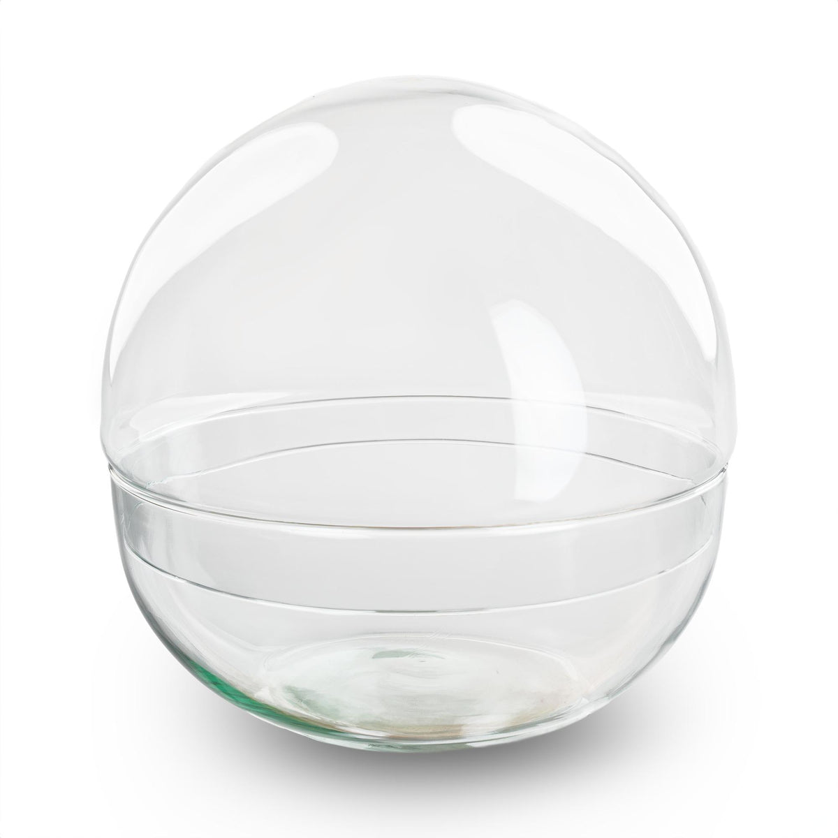 Terrarium bolglas tweedelig - Dome, plant in pot