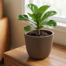 Capi Nature Groove pot, groefstructuur, warm taupe, Ø17 cm