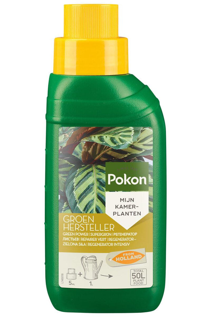 Groenhersteller voor verzwakte kamerplanten, 250 ml