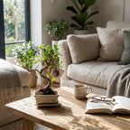 Bonsai S vorm Boom, plant in pot