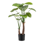 kunstplant - Alocasia - Olifantsoor, groeiwijze van de plant