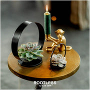 ROOTLESS Succulent Echeveria Lilacina op Deco tafelstandaard