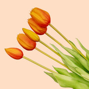 Tulpen boeket Oranje - 5 stuks - &
