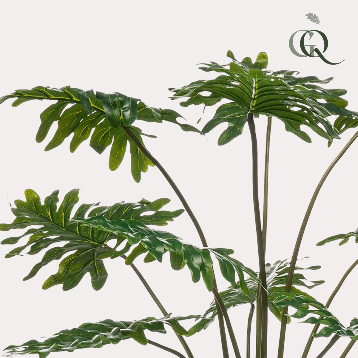 Productafbeelding van Pureplant