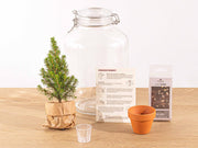 Easyplant - Christmas - Kerst decoratie