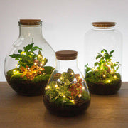 Kerstdraadverlichting op batterijen, warm wit, 20 leds, 1 m