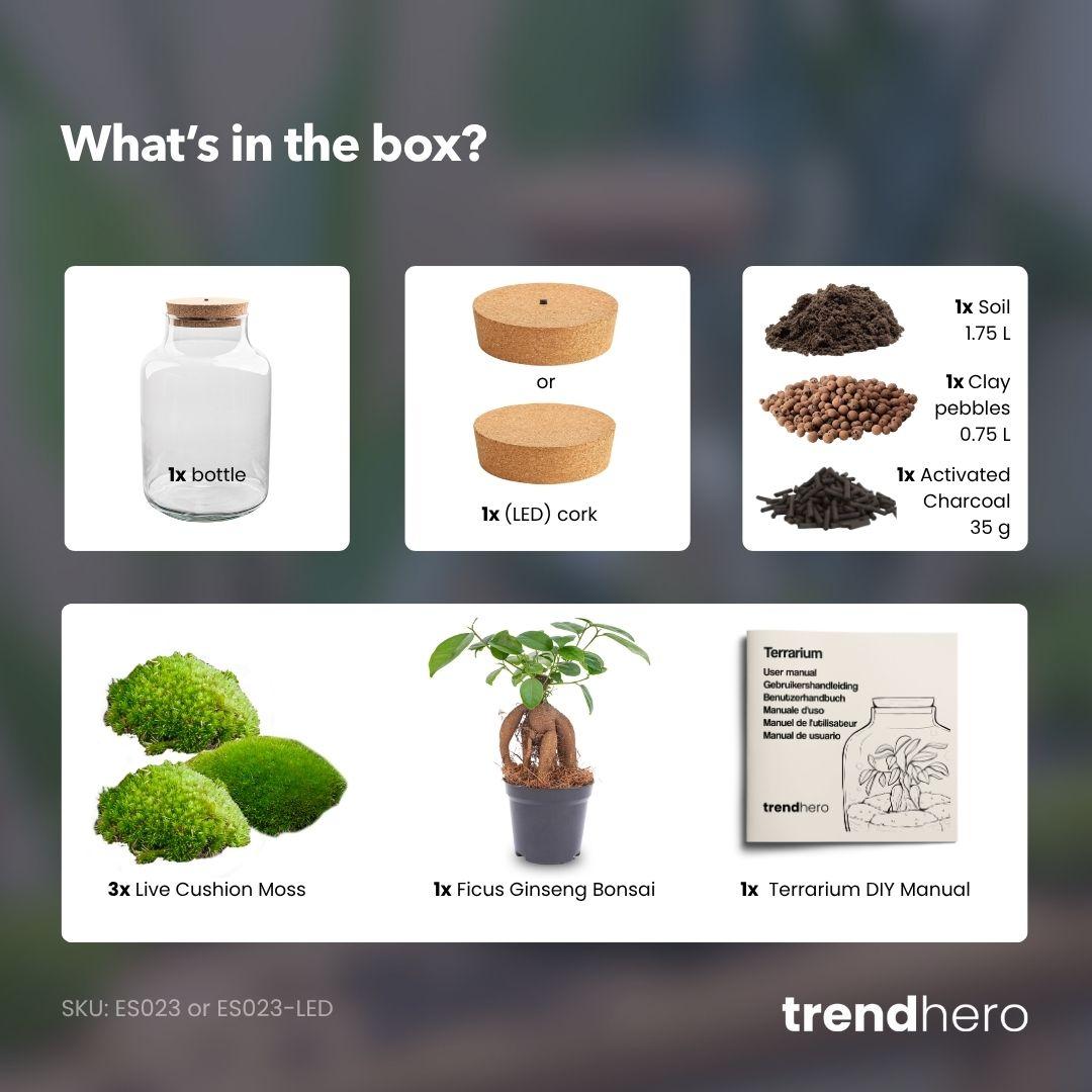 Detailfoto van DIY terrarium Milky Bonsai met licht, zonder gereedschap