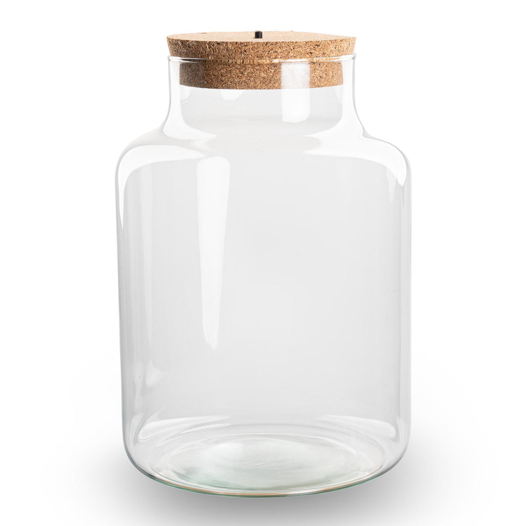 Terrarium fles met verlichting - Little Milky, plant in pot