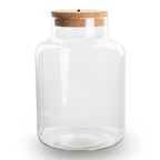 Terrarium fles met verlichting - Little Milky, plant in pot