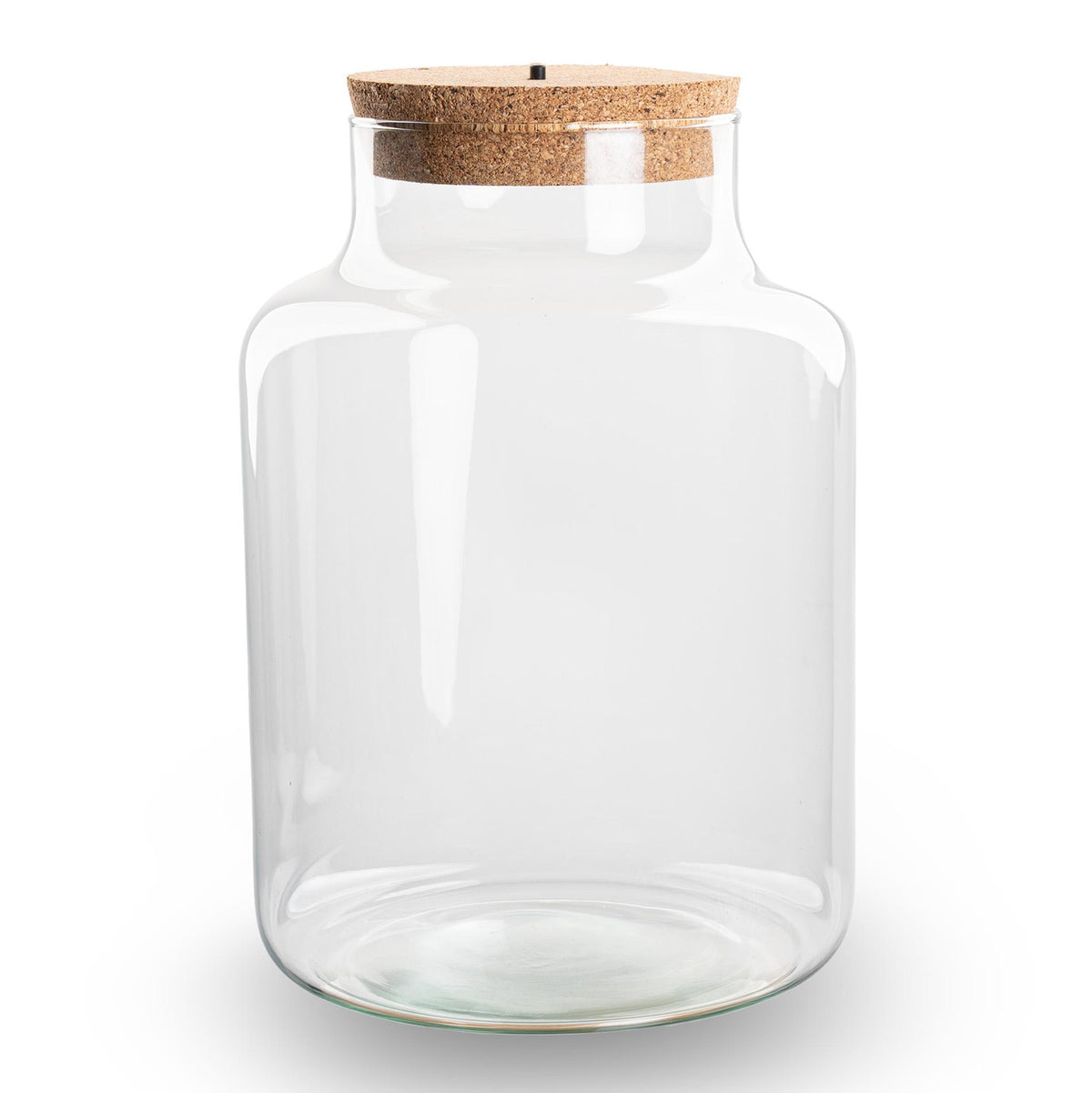 Terrarium fles met verlichting - Little Milky, plant in pot