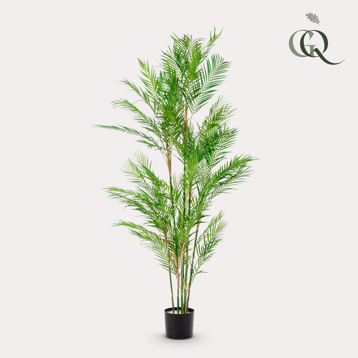 Kunstplant Chamaedorea elegans, bergpalm, 180 cm, kenmerkend blad