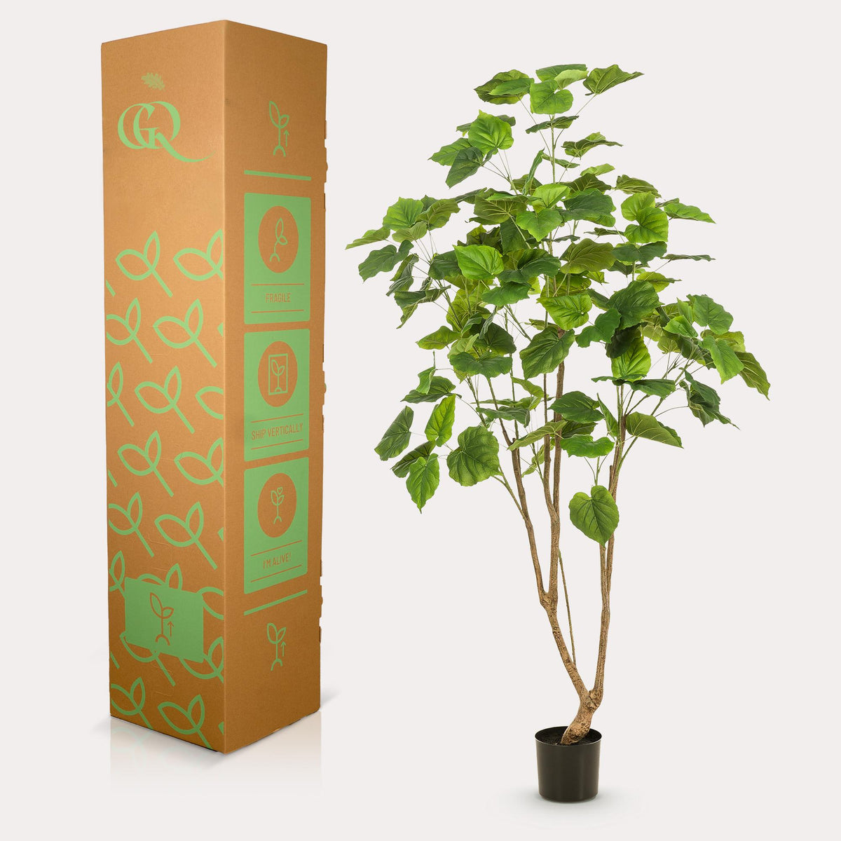 Kunstplant - Ficus umbellate - Afrikaanse vijg, groene bladeren