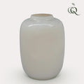 Vaas Artic Ivory van glas, maat M, H35 x B25 cm, plant in pot