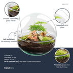 Productafbeelding van Pureplant