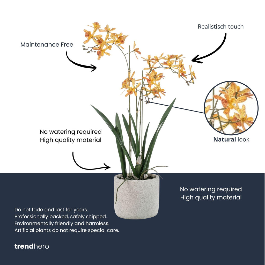 Renanthera Orchidee Geel & Oranje in pot, detail van het blad
