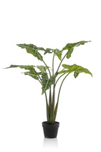 Kunstplant Alocasia 'Frydek', fluweelachtig blad, 120 cm, detail van het blad