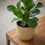 Elho Vibes Fold bloempot met ribbels, geel, Ø14 cm, kenmerkend blad