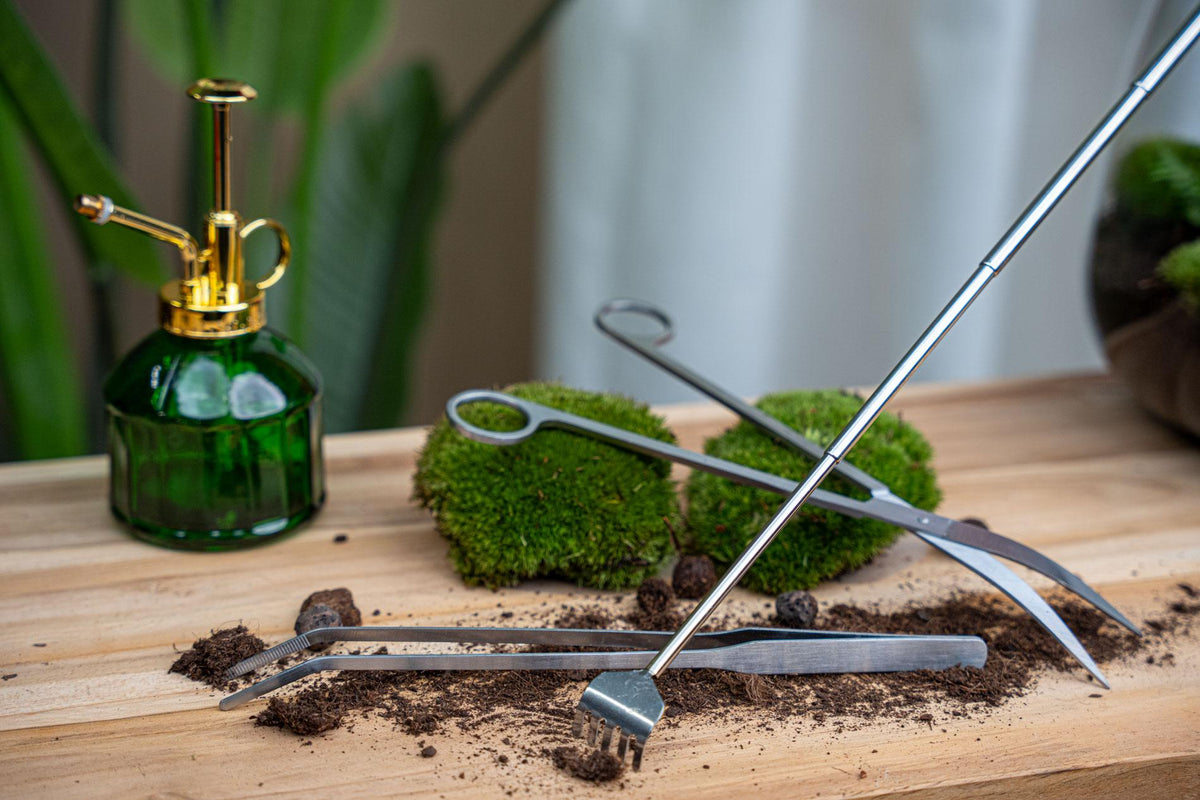 Terrarium pincet - Metaal, plant in pot